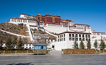 电动伸缩门案例:西藏布达拉宫